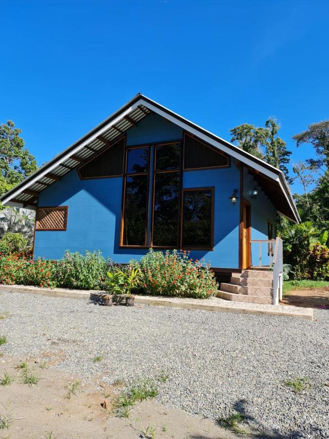 Villa Casa Numu Cahuita Esterno foto